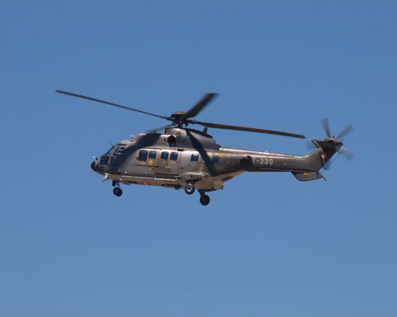 13_Cougar Suisse.JPG